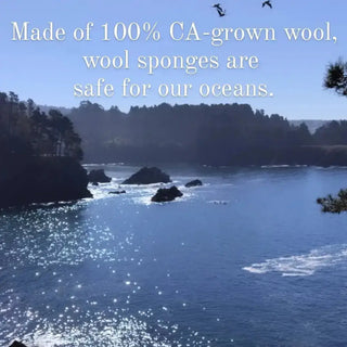 Wool Dish Sponges ~ Climate Beneficial™