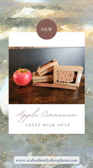 Apple Cinnamon Sheep Milk Soap