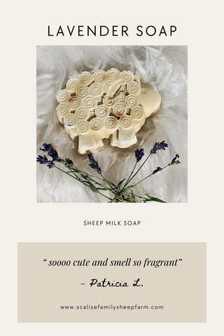 Lavender Sheep Milk Soap 🧼