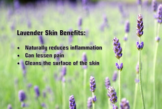 Lavender Skin Balm