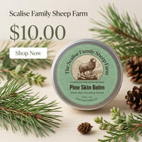 The Shepherd’s Pain Salve – Natural Herbal Muscle & Joint Balm