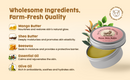 Rose Skin Balm – Natural Moisturizing Rose Herbal Balm